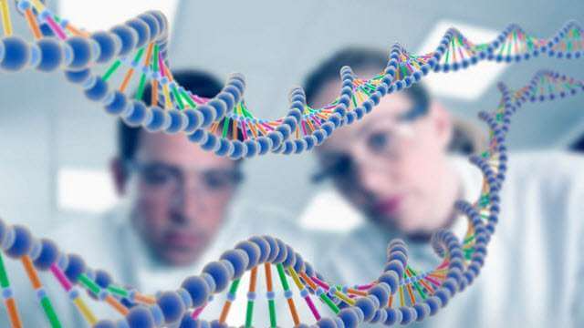 Is There a Link Between Human Genetics and Bipolar Disorder?
